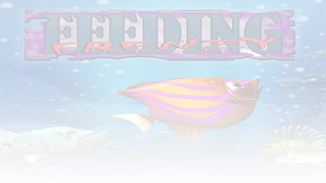 Feeding Frenzy 1